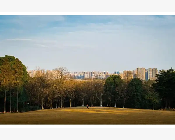 生姜梭子蟹：寒冬中的暖阳